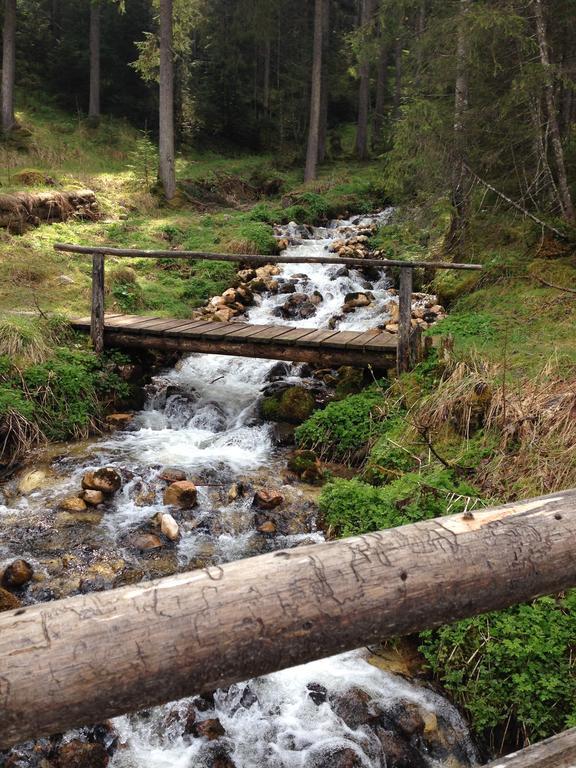 Chalet Gamsjaeger Gosau Rom bilde